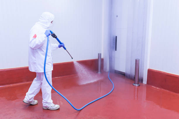 Reliable Springdale, SC Pressure Washing Services Solutions