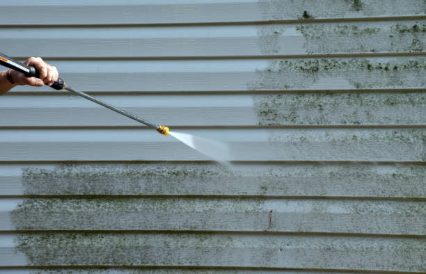 Best House Exterior Washing  in Springdale, SC